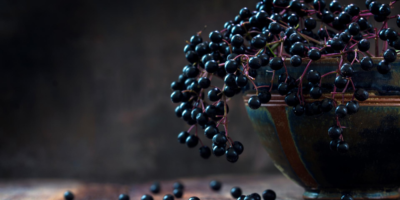 Top-4-health-benefits-of-Elderberry-|-The-natural-remedy-for-the-flu