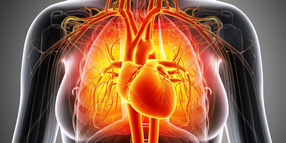Astaxanthin-health-benefits:-Promote-cardiovascular-health