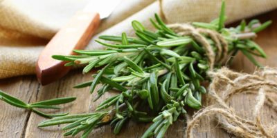 Top-4-Rosemary-health-benefits-|-The-plant-of-health-and-beauty