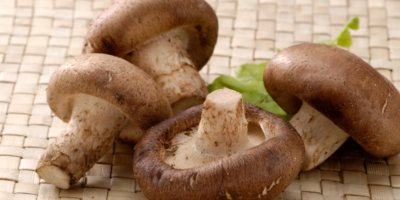 Top-4-Shiitake-mushrooms-health-benefits-|-Familiar-food-in-a-vegetarian-diet