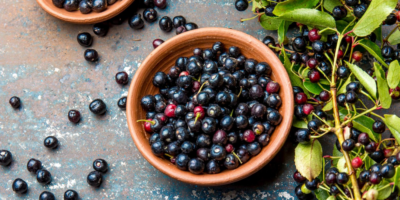 Top-4-Maqui-berry-benefits-|-The-world's-highest-source-of-antioxidants